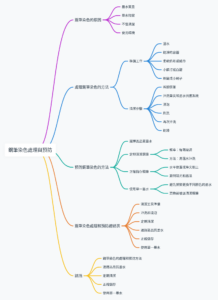 鋼筆染色：如何處理和預防